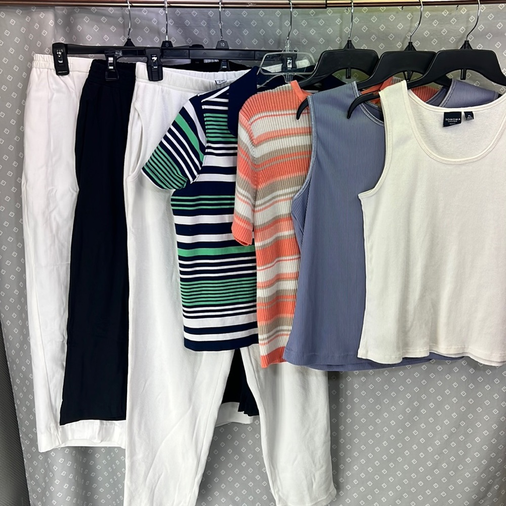Petite Large Clothing Bundle